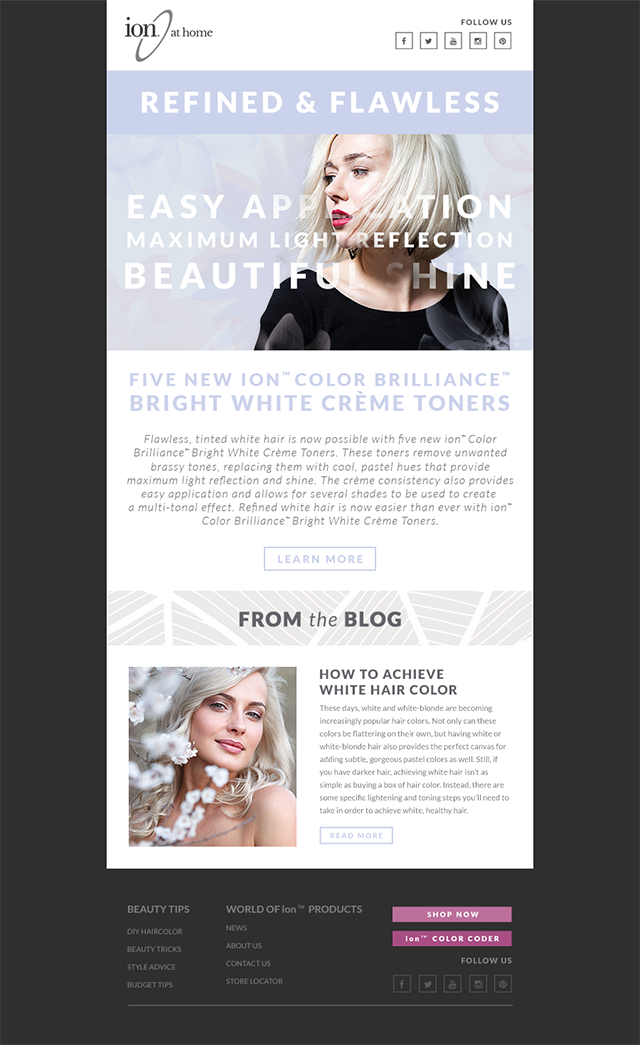 ion toner email