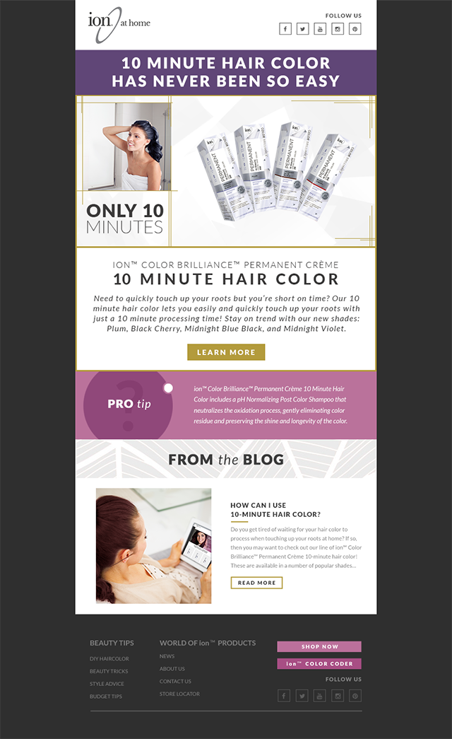 10-minute hair color email ion