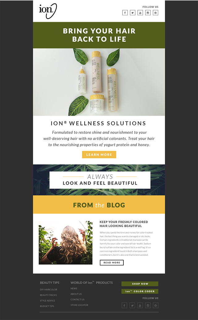 wellness solutions by ion
