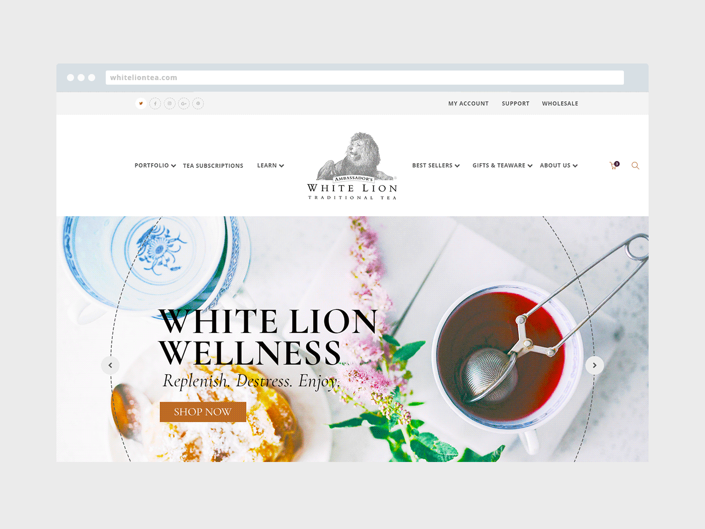 white-lion-home-page-new